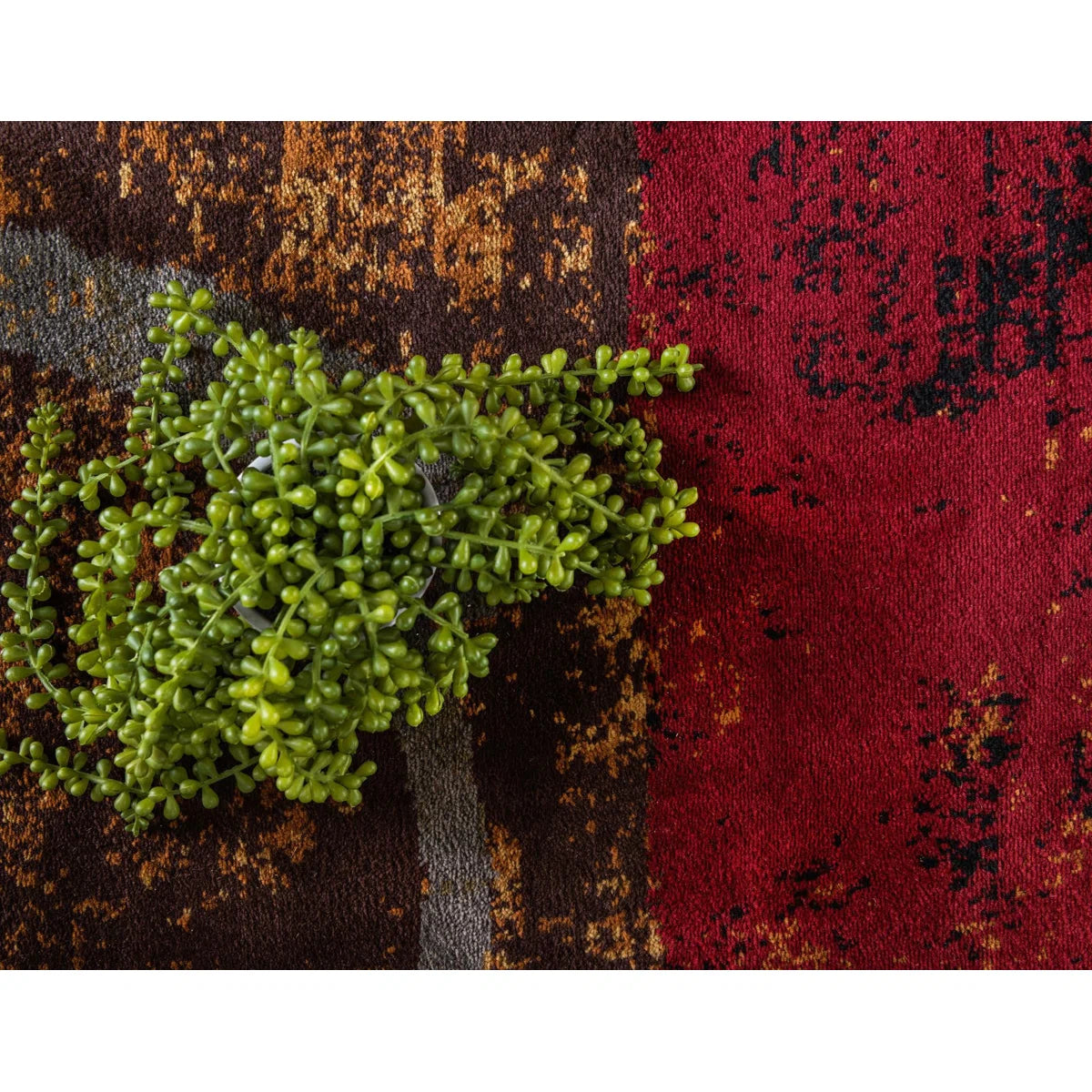 Adetomiwa Geometric Indoor Rug